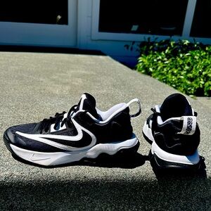 Nike Giannis basketball shoes